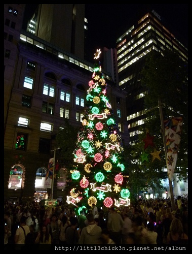 20121129_121_MartinPlaceTreeLighting.JPG