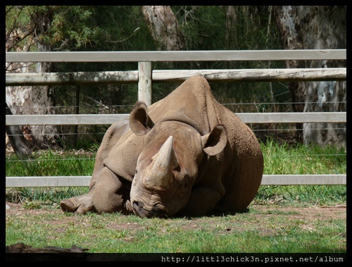 20120929_102235_WesternPlainsZoo.JPG