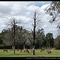 20120929_105454_WesternPlainsZoo.JPG