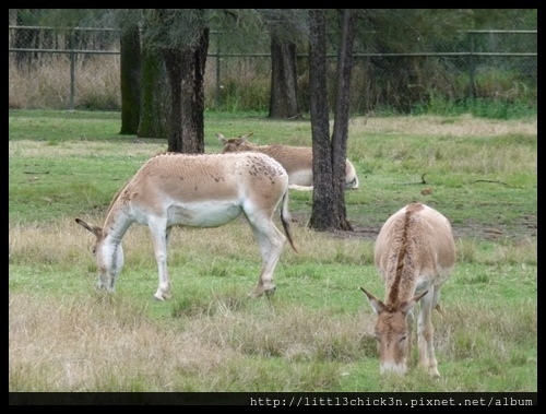 20120929_121429_WesternPlainsZoo.JPG