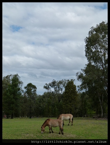 20120929_143808_WesternPlainsZoo.JPG