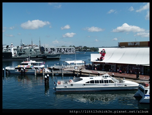 20141207_092632_DarlingHarbour.JPG