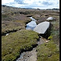 20150404_113945_MountKosciuszkoTrack.JPG