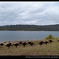 20150405_150131_LakeLightSculptureJindabyne.JPG