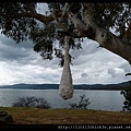 20150405_152147_LakeLightSculptureJindabyne.JPG