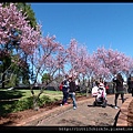 20150829_110456_AuburnCherryBlossomFestival.JPG