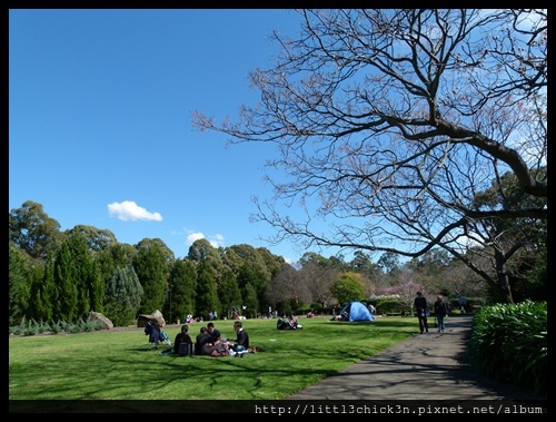 20150829_121922_AuburnCherryBlossomFestival.JPG