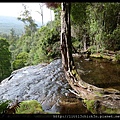 20111223_082730_0042_TasmaniaMountFieldNationalPark.JPG