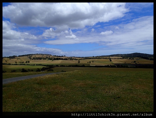 20151212_131551_SevilleFarmCherryPicking.JPG