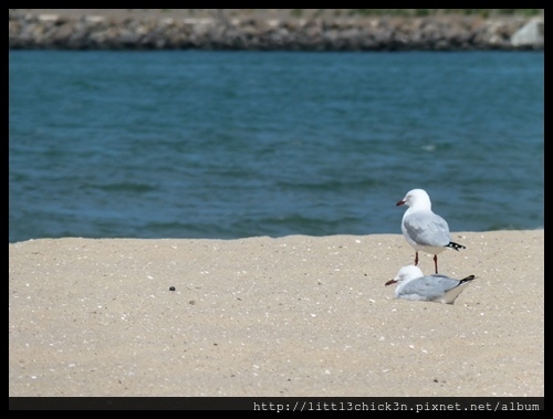 20160403_131326_SandridgeBeach.JPG 20160403_131326_SandridgeBeach.JPG