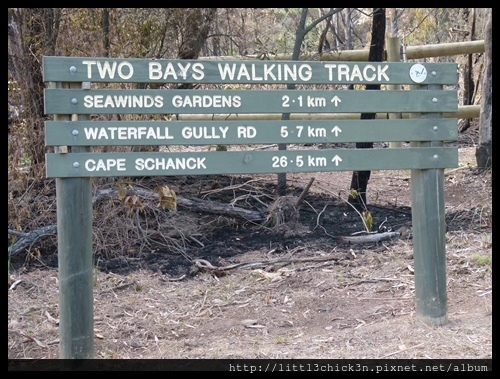 20160409_105406_MorningtonPeninsula2BaysWalk26Km.JPG