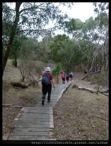 20160409_112201_MorningtonPeninsula2BaysWalk26Km.JPG