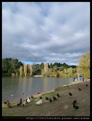 20160423_034642_LakeDaylesford.JPG