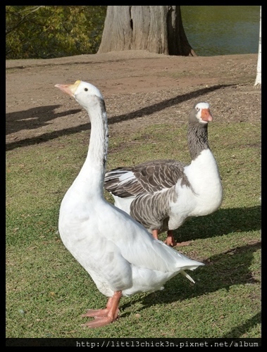 20160423_035258_LakeDaylesford.JPG