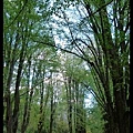 20160423_050519_JubileeLake.JPG