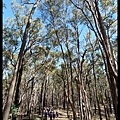 20160423_112554_TipperaryWalkingTrack.JPG