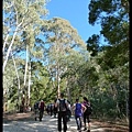 20160423_142929_TipperaryWalkingTrack.JPG