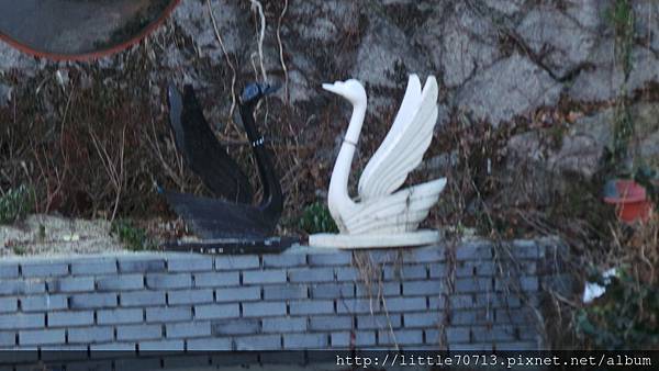 20151228_112615 20151228_112615