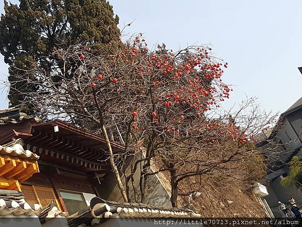北村 (28).jpg 北村 (28).jpg
