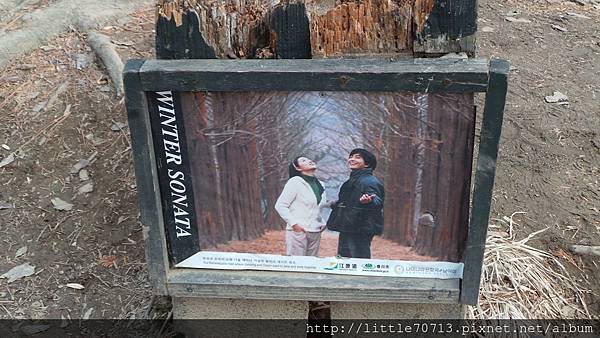 20140224_164017南怡島.jpg 20140224_164017南怡島.jpg