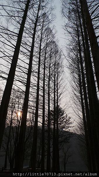 20140224_163556南怡島.jpg 20140224_163556南怡島.jpg