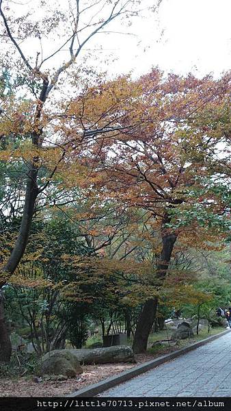 20161021_120204.jpg 20161021_120204.jpg