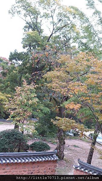 20161021_121651.jpg 20161021_121651.jpg