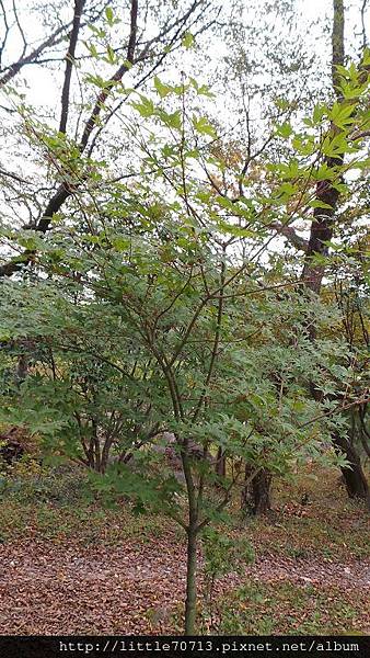 20161021_122734.jpg 20161021_122734.jpg