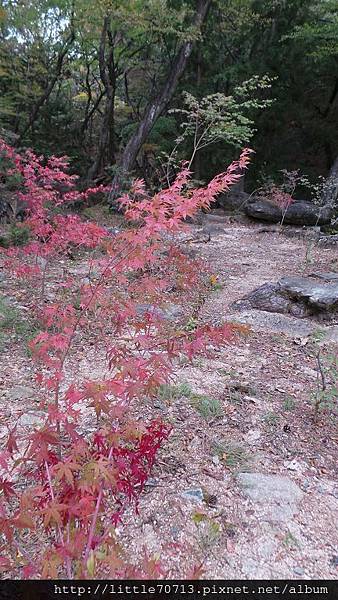 20161021_123604.jpg 20161021_123604.jpg
