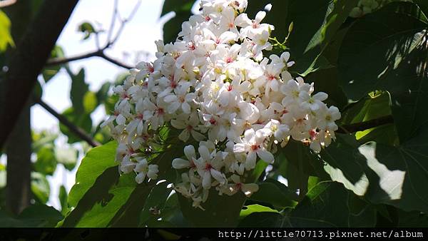 20170430_111624.jpg 20170430_111624.jpg