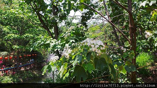 20170430_112928.jpg 20170430_112928.jpg