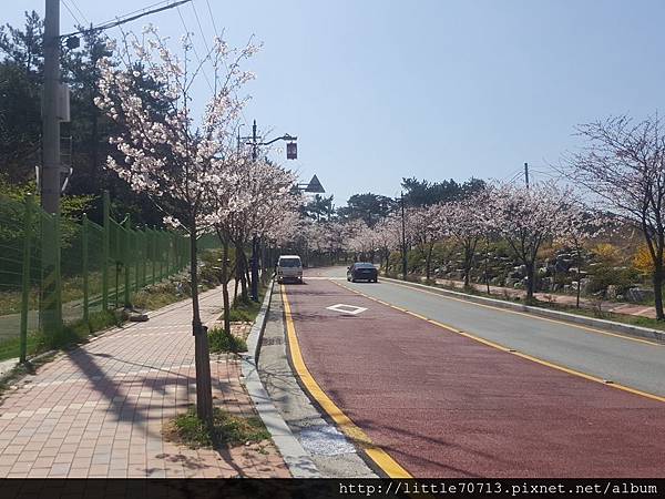 20170404_112506.jpg 20170404_112506.jpg