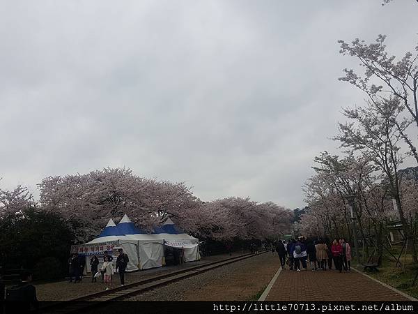 20170405_155025.jpg 20170405_155025.jpg