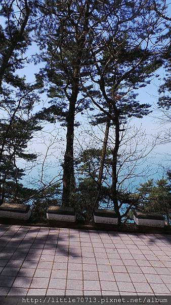20170408_110758.jpg 20170408_110758.jpg
