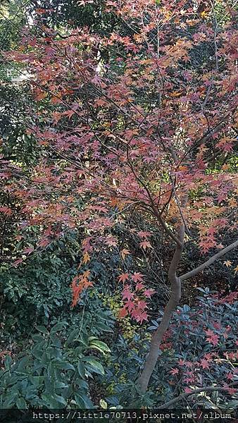 20171217_091343.jpg 20171217_091343.jpg