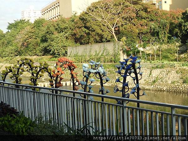 DSCN1808.jpg DSCN1808.jpg