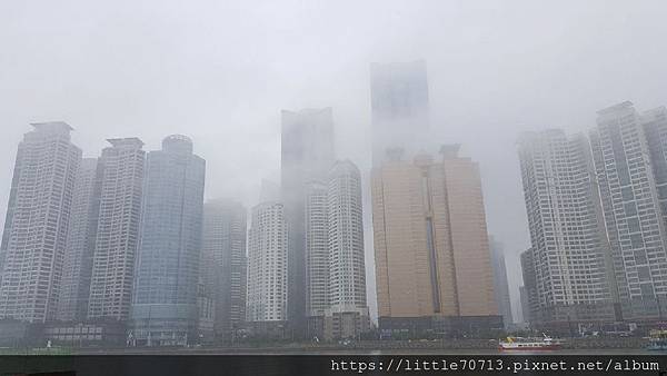 20190627_091353.jpg 20190627_091353.jpg