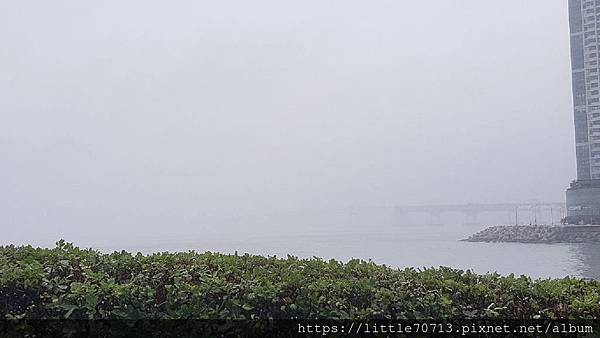 20190627_091823.jpg 20190627_091823.jpg