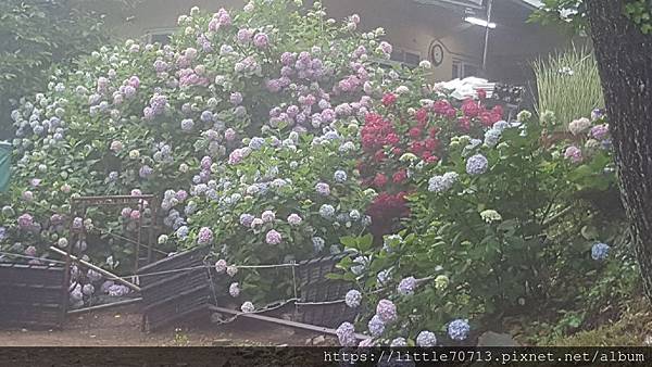 20190628_084958.jpg 20190628_084958.jpg