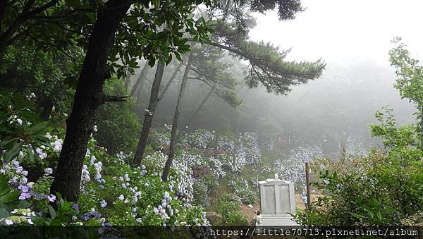 DSCN2643.jpg DSCN2643.jpg