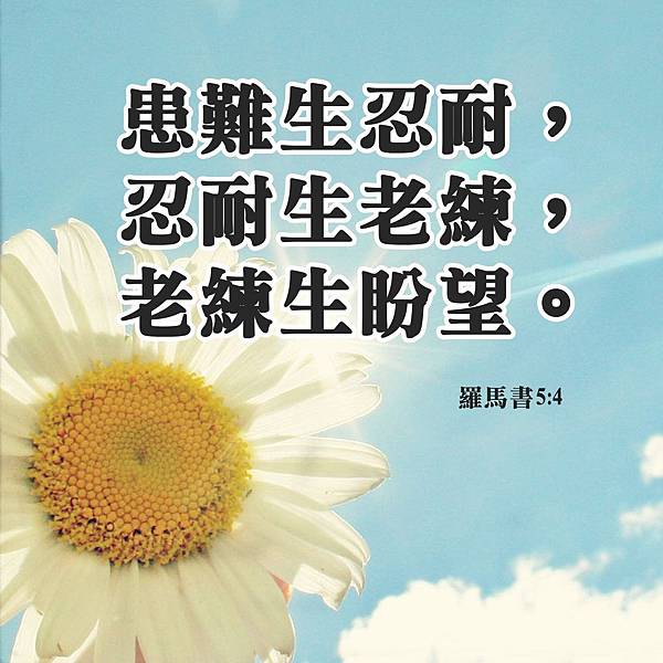 世界名話第一課 患難生忍耐 忍耐生老練 老練生盼望 紫妍spa美學館 痞客邦