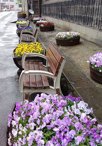 2017-05-27 09.46.09.jpg 2017-05-27 09.46.09.jpg