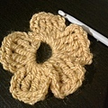first crochet flower