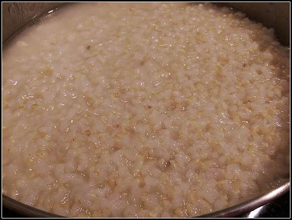 終極 糙米粥煮法募集中 艾瑞鵝ariel 痞客邦