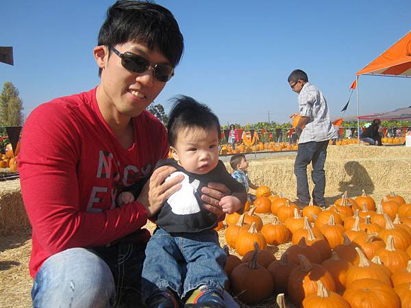 Spina Farms Pumpkin Patch (4)