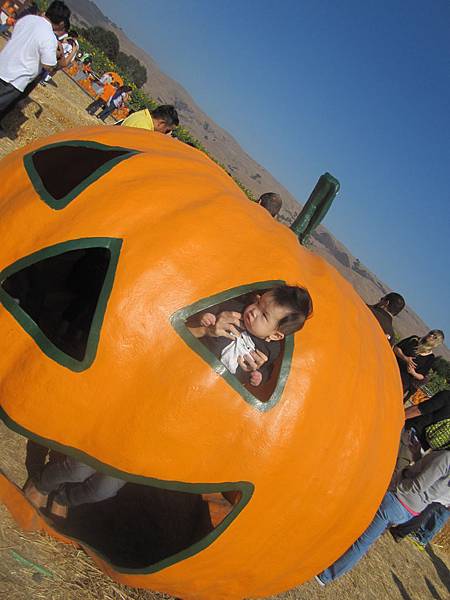 Spina Farms Pumpkin Patch (7)