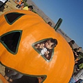 Spina Farms Pumpkin Patch (7)