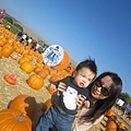 Spina Farms Pumpkin Patch (11)