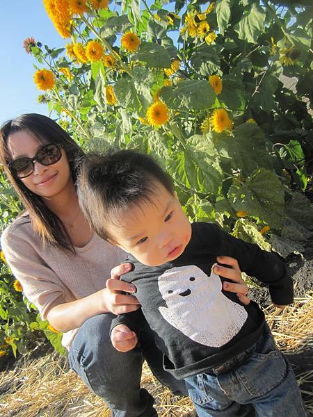 Spina Farms Pumpkin Patch (31)