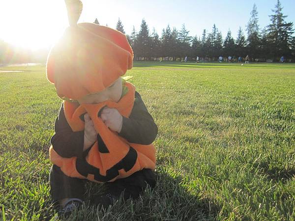 Baby Pumpkin (14).JPG